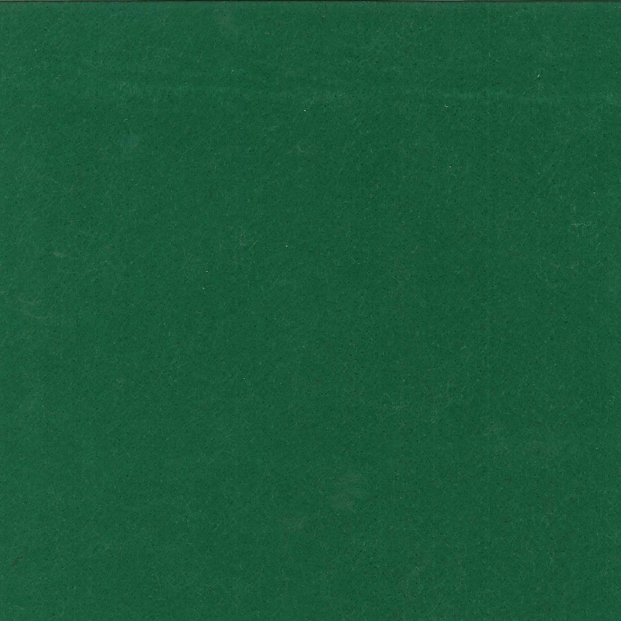 Springs Creative Hunter Green Fleece Fabric